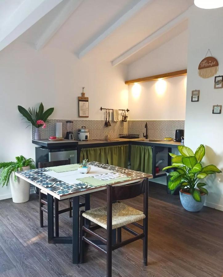 Chilamate Holiday House Puerto Viejo de Talamanca المظهر الخارجي الصورة