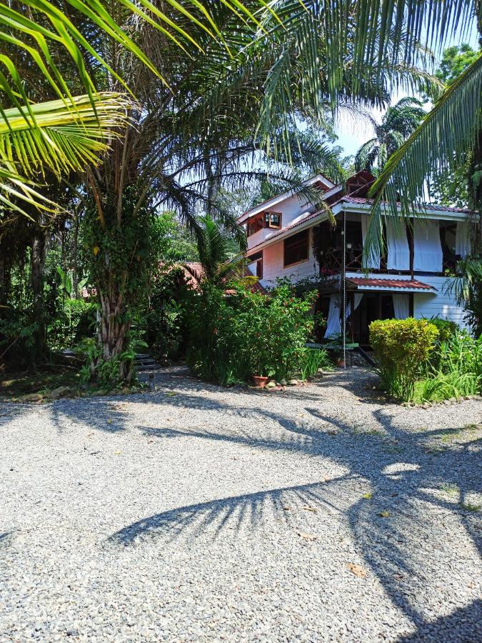 Chilamate Holiday House Puerto Viejo de Talamanca المظهر الخارجي الصورة