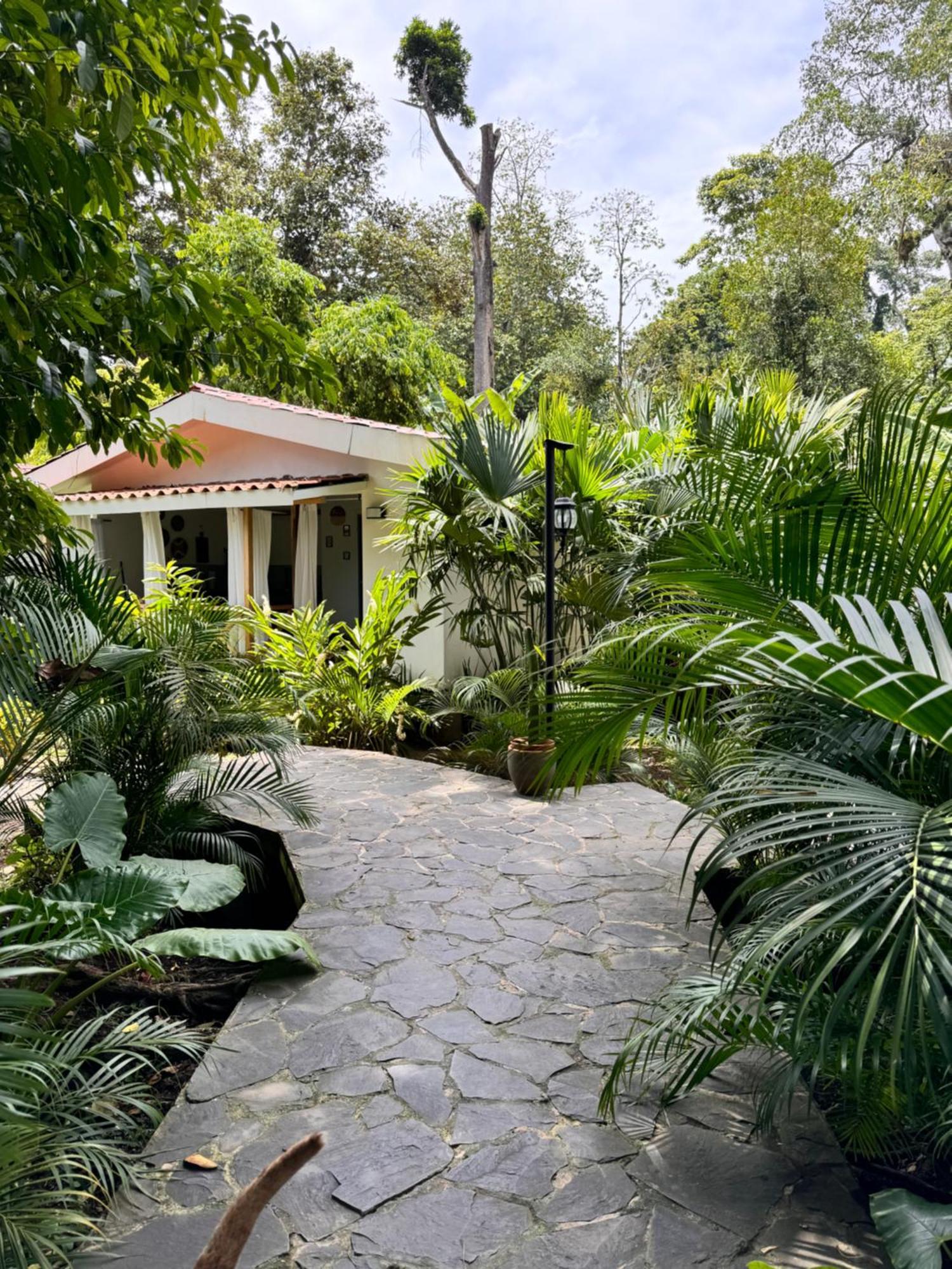 Chilamate Holiday House Puerto Viejo de Talamanca المظهر الخارجي الصورة