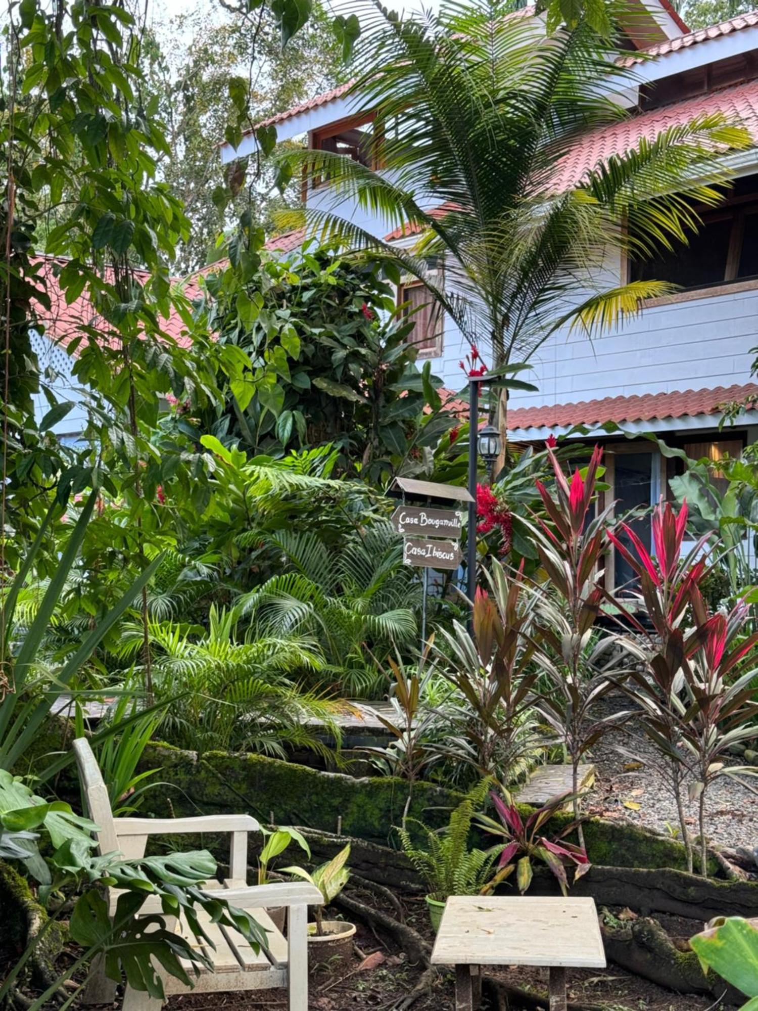 Chilamate Holiday House Puerto Viejo de Talamanca المظهر الخارجي الصورة