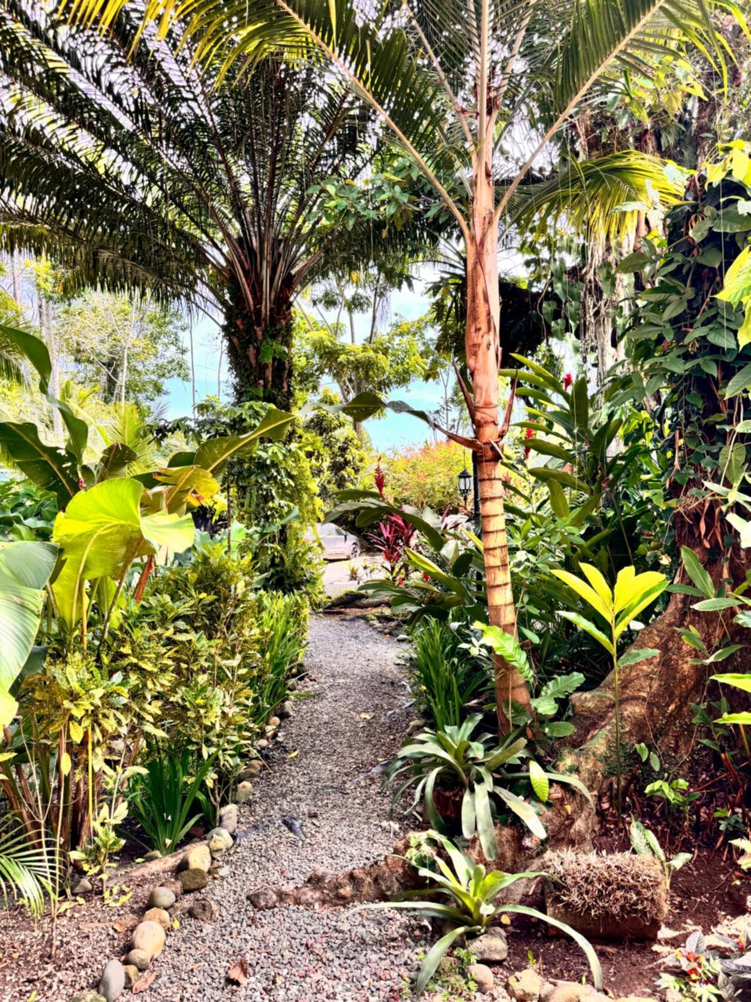 Chilamate Holiday House Puerto Viejo de Talamanca المظهر الخارجي الصورة