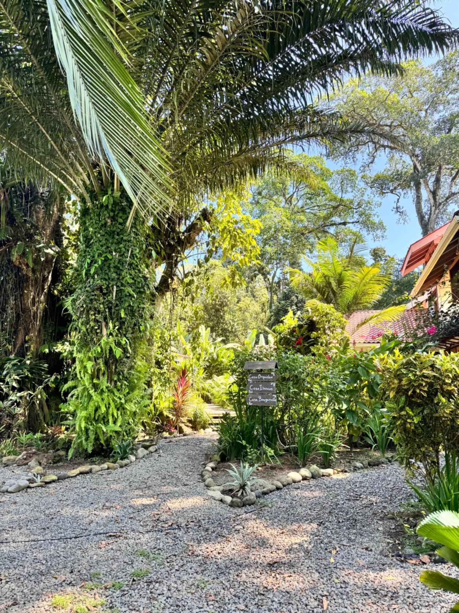 Chilamate Holiday House Puerto Viejo de Talamanca المظهر الخارجي الصورة