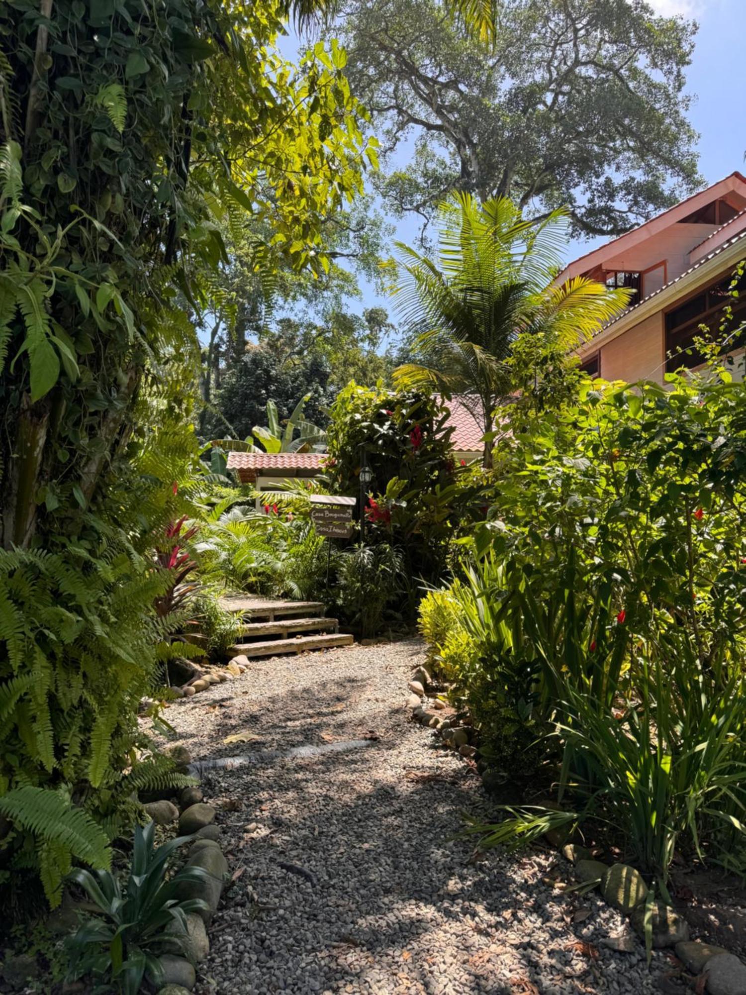 Chilamate Holiday House Puerto Viejo de Talamanca المظهر الخارجي الصورة